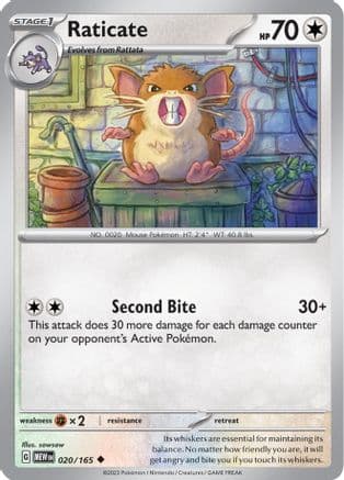 Raticate 020-165 Reverse Holo