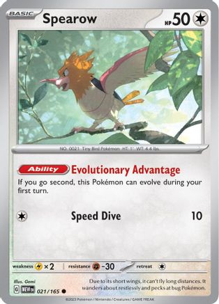 Spearow 021-165