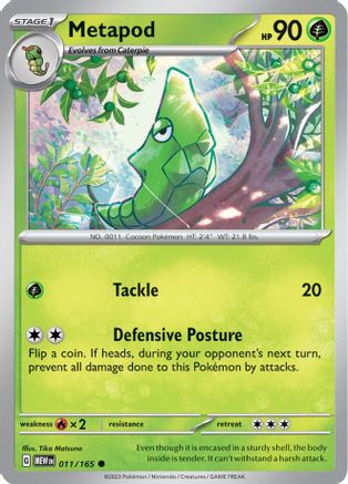 Metapod 011-165